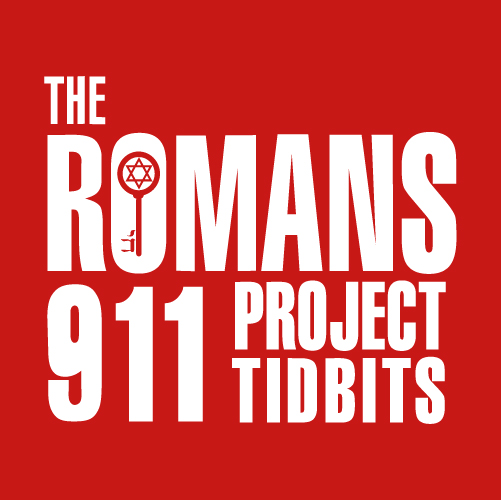 R911-Logo_Tidbits_Primary